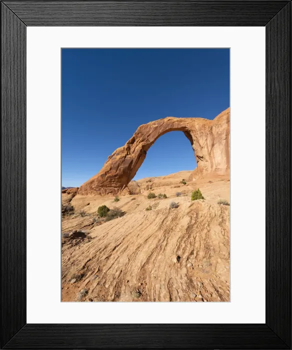 Framed Print : Corona Arch and Bootlegger Canyon, Moab, Utah, United States of America, North America Framed Print : Corona Arch and Bootlegger Canyon, Moab, Utah, United States of America, North America