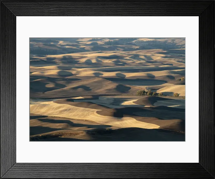 Framed Print : Farmland in the Palouse, Palouse, Washington State, United States of America, North Framed Print : Farmland in the Palouse, Palouse, Washington State, United States of America, North