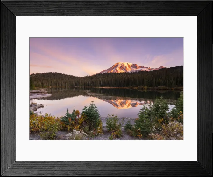 Framed Print : Reflection Lake, Mount Rainier National Park, Washington State, United States of America Framed Print : Reflection Lake, Mount Rainier National Park, Washington State, United States of America