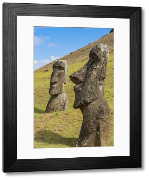 Framed Print : Moai heads of Easter Island, Rapa Nui National Park, UNESCO World Heritage Site Framed Print : Moai heads of Easter Island, Rapa Nui National Park, UNESCO World Heritage Site