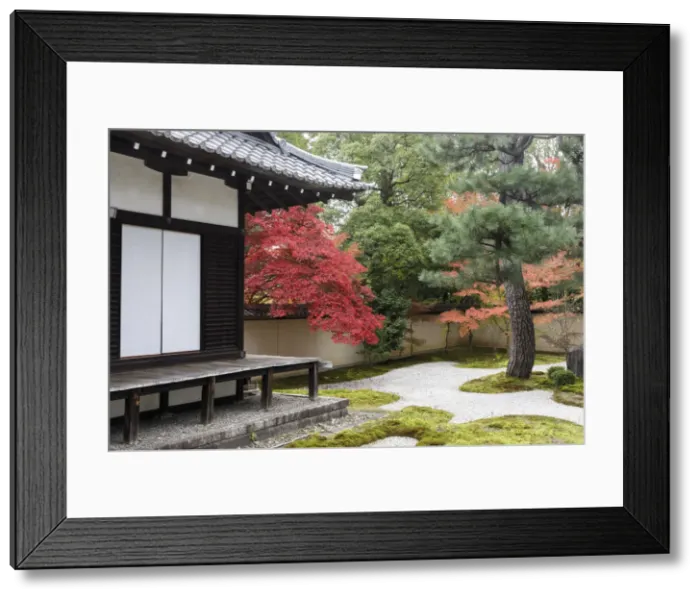 Framed Print : Autumn color in Rozanji Temple in Kyoto, Japan, Asia Framed Print : Autumn color in Rozanji Temple in Kyoto, Japan, Asia