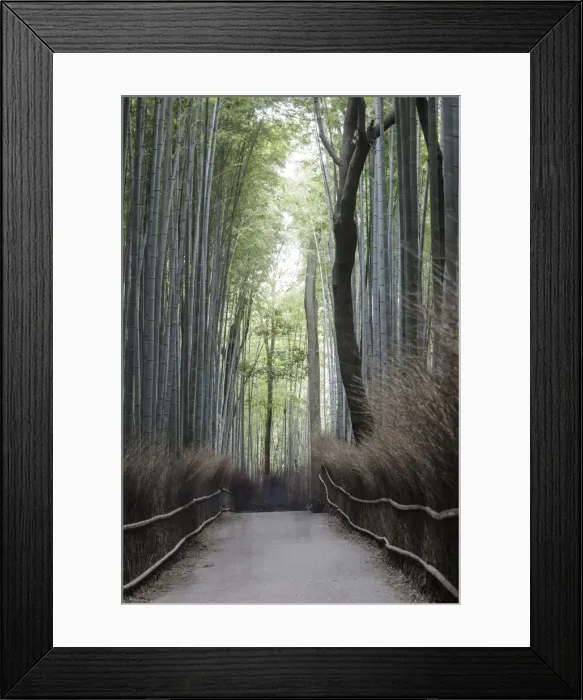 Framed Print : The Arashiyama Bamboo Grove in Kyoto, Japan, Asia Framed Print : The Arashiyama Bamboo Grove in Kyoto, Japan, Asia