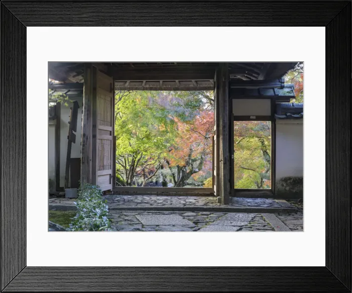 Framed Print : Autumn color in Anraku-ji temple in Kyoto, Japan, Asia Framed Print : Autumn color in Anraku-ji temple in Kyoto, Japan, Asia
