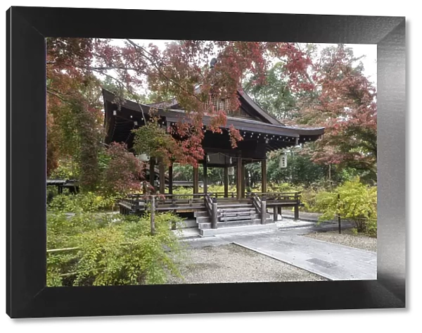Autumn color in Nashinoki-Jinja Shrine in Kyoto, Japan, Asia