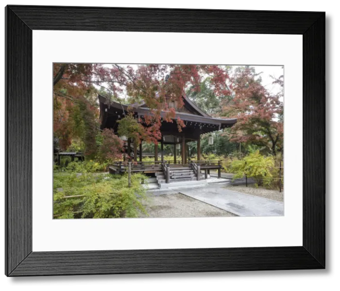 Framed Print : Autumn color in Nashinoki-Jinja Shrine in Kyoto, Japan, Asia Framed Print : Autumn color in Nashinoki-Jinja Shrine in Kyoto, Japan, Asia