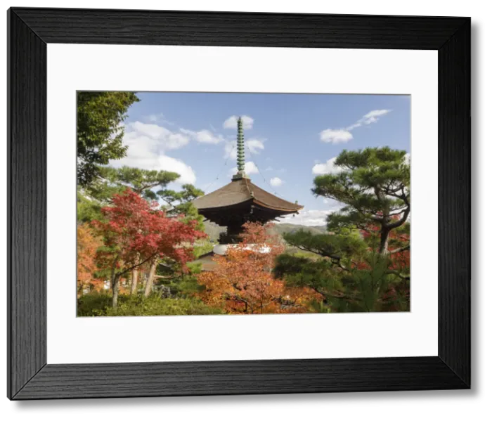 Framed Print : Autumn color in Jojakko-ji Temple in Arashiyama, Kyoto, Japan, Asia Framed Print : Autumn color in Jojakko-ji Temple in Arashiyama, Kyoto, Japan, Asia