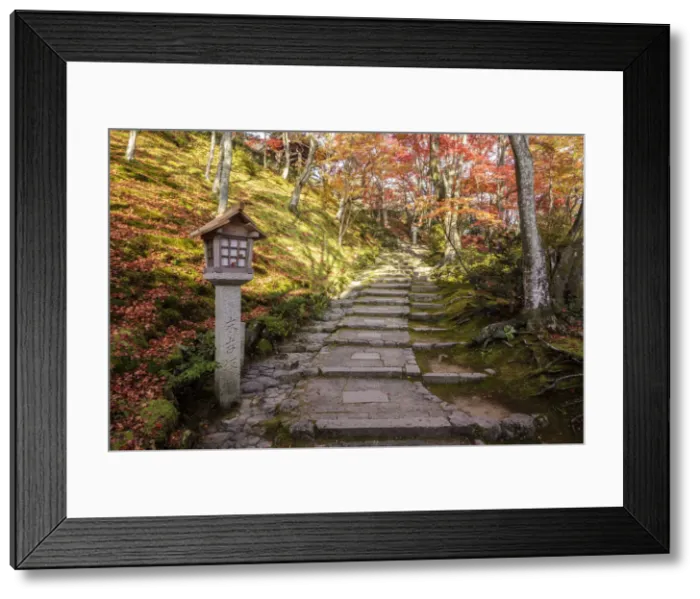 Framed Print : Autumn color in Jojakko-ji Temple in Arashiyama, Kyoto, Japan, Asia Framed Print : Autumn color in Jojakko-ji Temple in Arashiyama, Kyoto, Japan, Asia