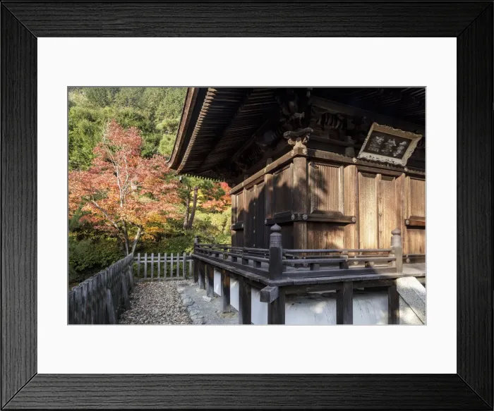 Framed Print : Autumn color in Jojakko-ji Temple in Arashiyama, Kyoto, Japan, Asia Framed Print : Autumn color in Jojakko-ji Temple in Arashiyama, Kyoto, Japan, Asia