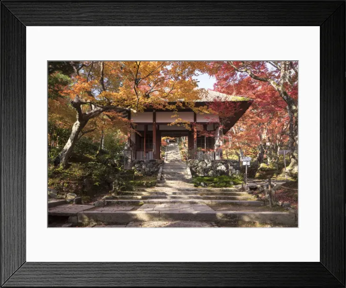 Framed Print : Autumn color in Jojakko-ji Temple in Arashiyama, Kyoto, Japan, Asia Framed Print : Autumn color in Jojakko-ji Temple in Arashiyama, Kyoto, Japan, Asia