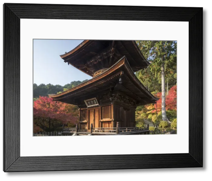 Framed Print : Autumn color in Jojakko-ji Temple in Arashiyama, Kyoto, Japan, Asia Framed Print : Autumn color in Jojakko-ji Temple in Arashiyama, Kyoto, Japan, Asia