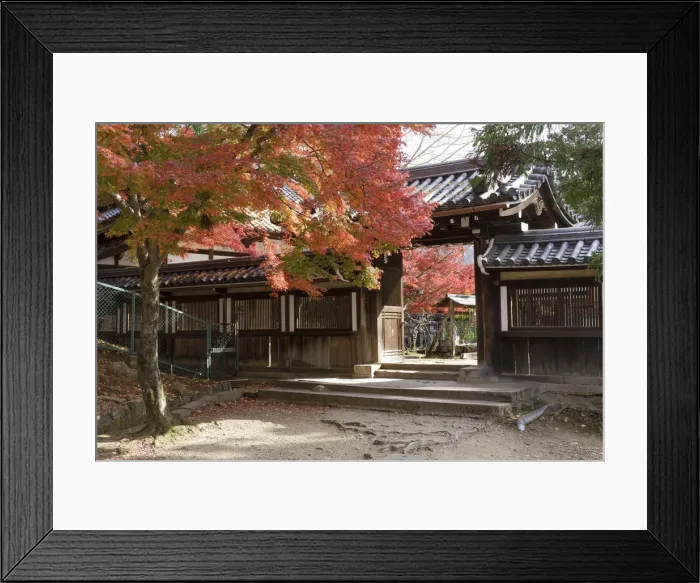 Framed Print : Autumn color around Daikoku-den Hall in Nara, Japan, Asia Framed Print : Autumn color around Daikoku-den Hall in Nara, Japan, Asia