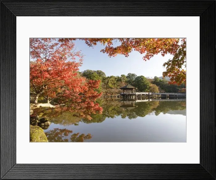 Framed Print : Autumn color around Ukimido pavilion on the Sagiike Pond, Nara Park, Nara, Japan, Asia