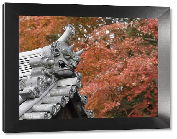 Autumn color around Todaiji Hokkedo in Nara, Japan, Asia