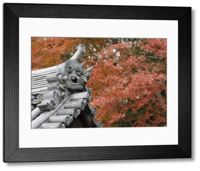 Framed Print : Autumn color around Todaiji Hokkedo in Nara, Japan, Asia Framed Print : Autumn color around Todaiji Hokkedo in Nara, Japan, Asia
