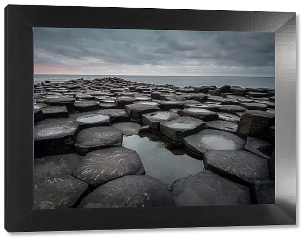 Basalt columns of the Giants Causeway at sunset, UNESCO World Heritage Site, County