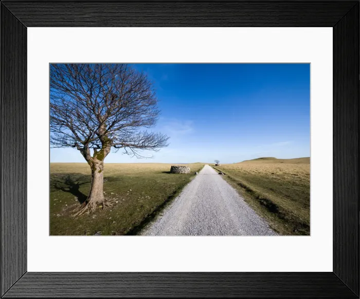 Framed Print : Tree above Malham, Yorkshire Dales, Yorkshire, England, United Kingdom, Europe Framed Print : Tree above Malham, Yorkshire Dales, Yorkshire, England, United Kingdom, Europe
