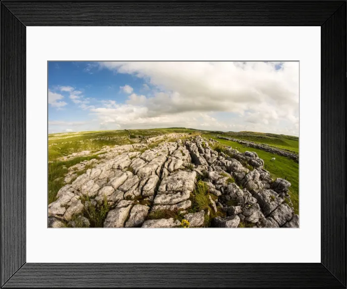 Framed Print : Limestone pavement above Malham, Yorkshire Dales, Yorkshire, England, United Kingdom