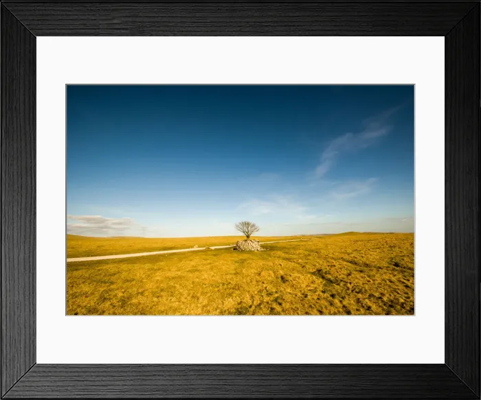 Framed Print : Tree above Malham, Yorkshire Dales, Yorkshire, England, United Kingdom, Europe Framed Print : Tree above Malham, Yorkshire Dales, Yorkshire, England, United Kingdom, Europe