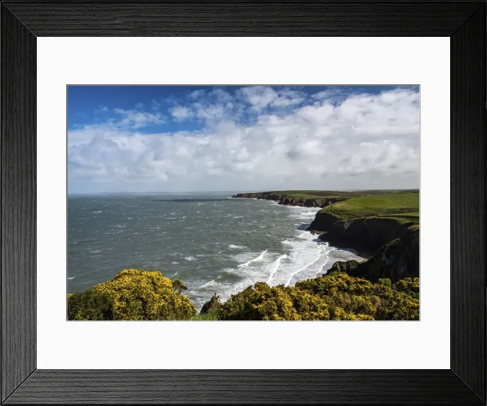 Framed Print : Pembrokeshire Coast National Park, seen near Marloes and St Framed Print : Pembrokeshire Coast National Park, seen near Marloes and St