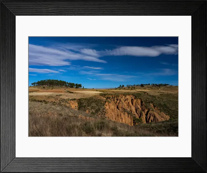 Framed Print : Landscape of Pampas de Lequezana, where trees have been planted to prevent soil erosion Framed Print : Landscape of Pampas de Lequezana, where trees have been planted to prevent soil erosion