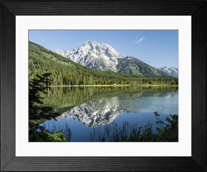 Framed Print : Snow-capped mountains reflected in the calm waters of String Lake, Grand Teton National Framed Print : Snow-capped mountains reflected in the calm waters of String Lake, Grand Teton National