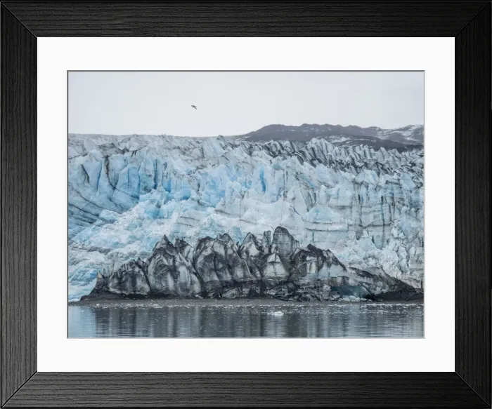 Framed Print : Lamplugh Glacier, a tidewater glacier in Glacier Bay National Park and Preserve, Southeast Framed Print : Lamplugh Glacier, a tidewater glacier in Glacier Bay National Park and Preserve, Southeast