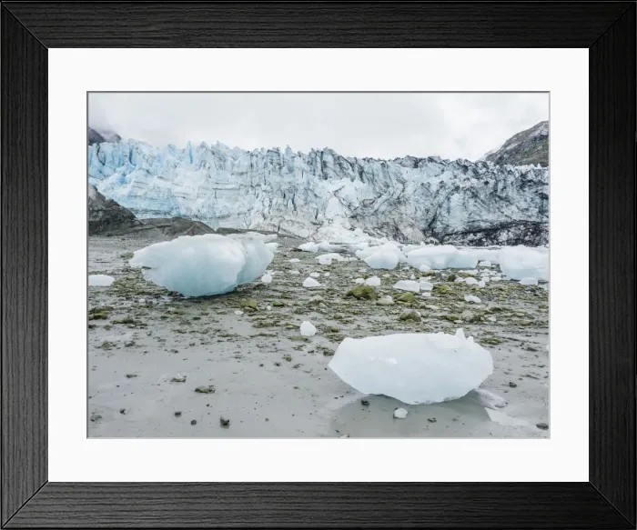 Framed Print : Stranded ice on the low tide in front of Lamplugh Glacier, Glacier Bay National Park Framed Print : Stranded ice on the low tide in front of Lamplugh Glacier, Glacier Bay National Park