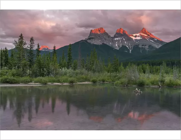 Sunset and Alpenglow on the peaks of Three Sisters, Canmore, Alberta, Canadian Rockies
