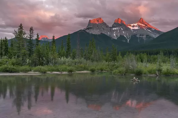 Sunset and Alpenglow on the peaks of Three Sisters, Canmore, Alberta, Canadian Rockies