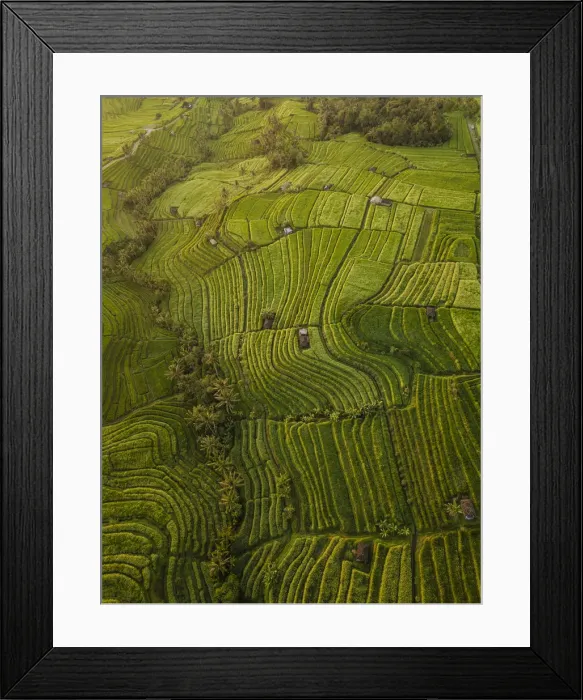 Framed Print : Aerial view of Jatiluwih Rice Terraces, Tabanan, Bali, Indonesia, Southeast Asia, Asia Framed Print : Aerial view of Jatiluwih Rice Terraces, Tabanan, Bali, Indonesia, Southeast Asia, Asia