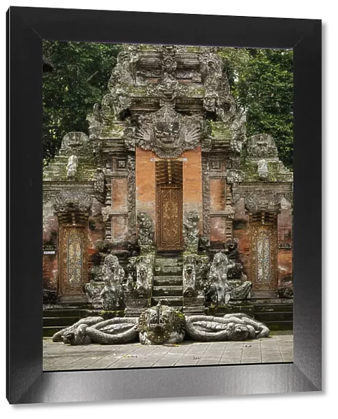 Monkey Forest Sanctuary, Ubud, Bali, Indonesia, Southeast Asia, Asia