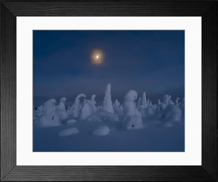 Framed Print : Moonrise over snow covered trees, Tykky, Kuntivaara, Kuusamo, Finland, Europe Framed Print : Moonrise over snow covered trees, Tykky, Kuntivaara, Kuusamo, Finland, Europe