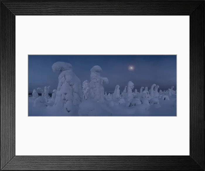 Framed Print : Moonrise over snow covered trees, Tykky, Kuntivaara, Kuusamo, Finland, Europe