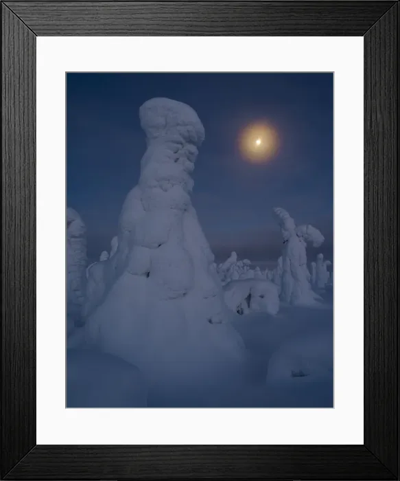 Framed Print : Moonrise over snow covered trees, Tykky, Kuntivaara, Kuusamo, Finland, Europe Framed Print : Moonrise over snow covered trees, Tykky, Kuntivaara, Kuusamo, Finland, Europe