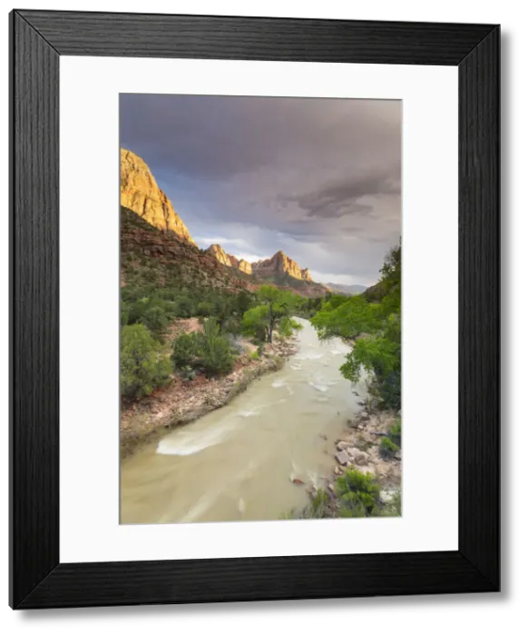 Framed Print : View down the Virgin River to the Watchman, Zion National Park, Utah, United States Framed Print : View down the Virgin River to the Watchman, Zion National Park, Utah, United States