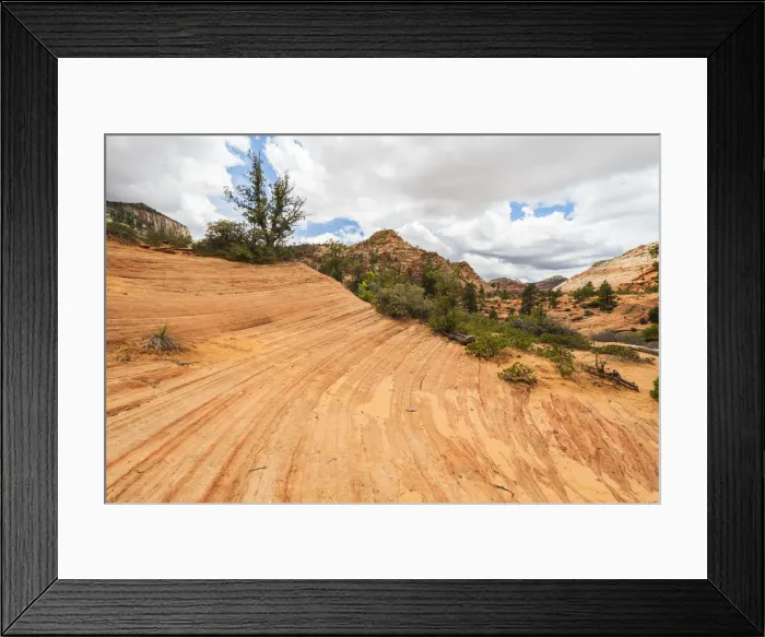 Framed Print : Zion National Park, Utah, United States of America, North America Framed Print : Zion National Park, Utah, United States of America, North America