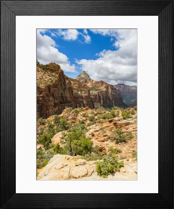 Framed Print : Canyon overlook, Zion National Park, Utah, United States of America, North America Framed Print : Canyon overlook, Zion National Park, Utah, United States of America, North America