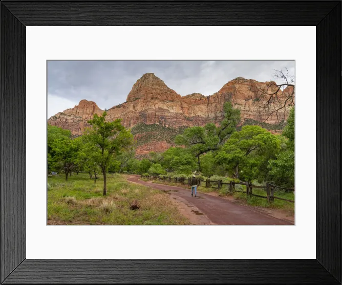 Framed Print : Enjoying the view in Zion National Park, Utah, United States of America, North America Framed Print : Enjoying the view in Zion National Park, Utah, United States of America, North America