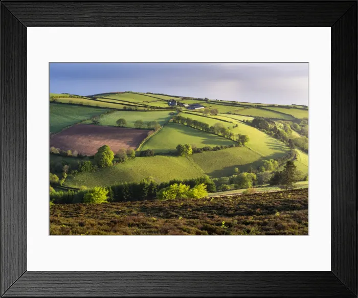 Framed Print : Moor and farmland in spring, Exmoor National Park, Devon, England, United Kingdom, Europe Framed Print : Moor and farmland in spring, Exmoor National Park, Devon, England, United Kingdom, Europe