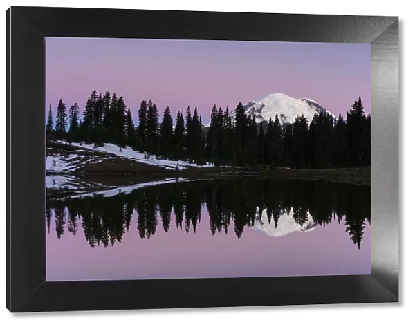 Reflection of Mount Rainier at dawn, Tipsoo Lake, Mount Rainier National Park, Washington