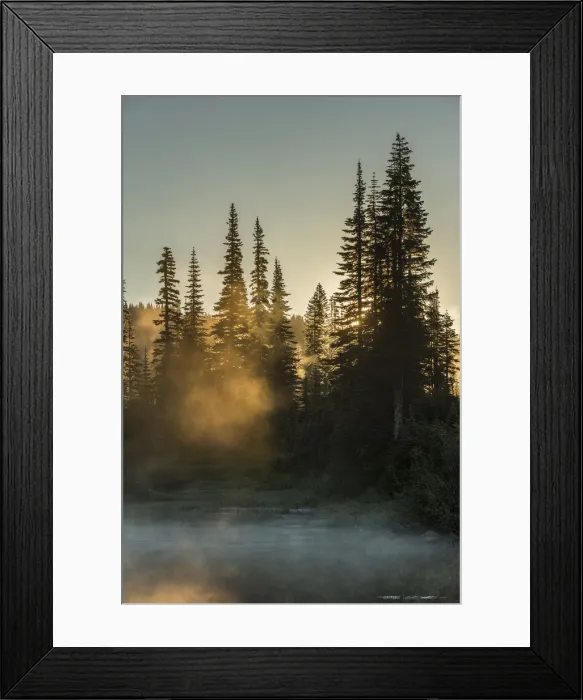Framed Print : Morning sunlight and mist, Reflection Lake, Mount Rainier National Park, Washington State Framed Print : Morning sunlight and mist, Reflection Lake, Mount Rainier National Park, Washington State
