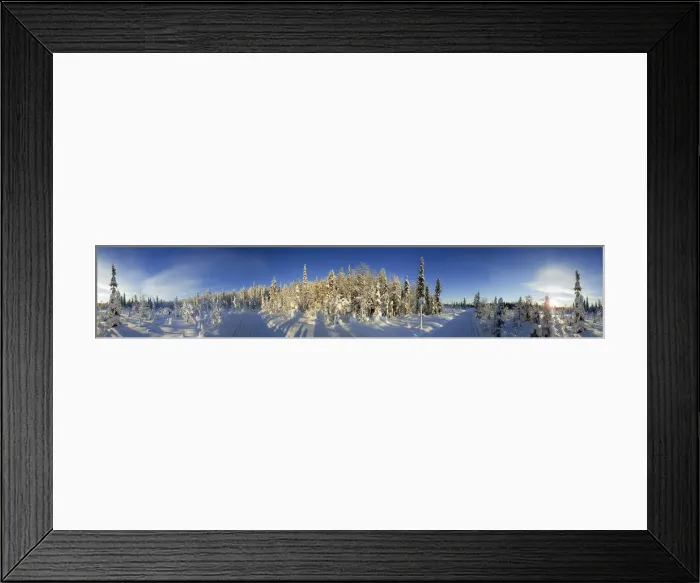 Framed Print : Snow covered trees and track, Kuusamo, Lapland, Finland, Europe Framed Print : Snow covered trees and track, Kuusamo, Lapland, Finland, Europe