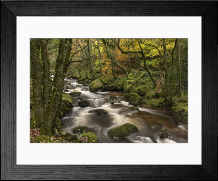 Framed Print : Fast flowing woodland stream, Dartmoor National Park, Devon, England, United Kingdom