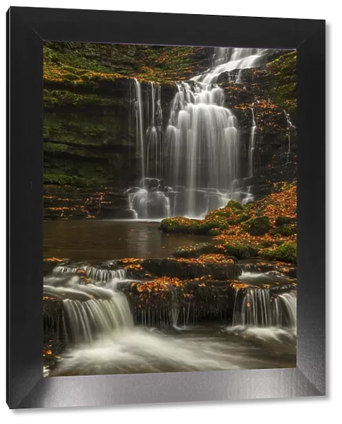 Scalebor Force waterfall in autumn, Yorkshire Dales National Park, North Yorkshire