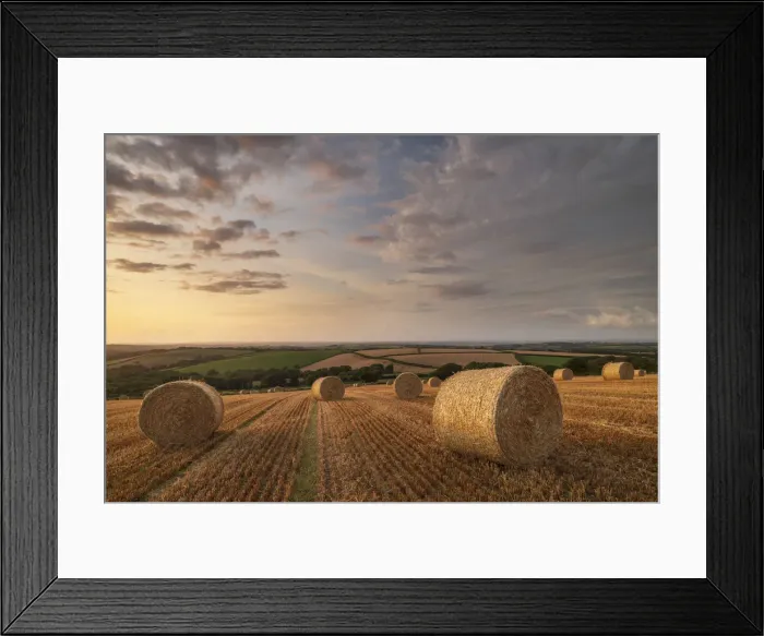 Framed Print : Straw bales at sunset in rural Devon, Livaton, Devon, England, United Kingdom, Europe Framed Print : Straw bales at sunset in rural Devon, Livaton, Devon, England, United Kingdom, Europe