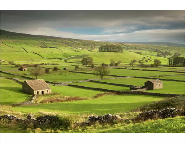 Stone barns and dry stone walls in the rolling countryside of Wensleydale near Hawes