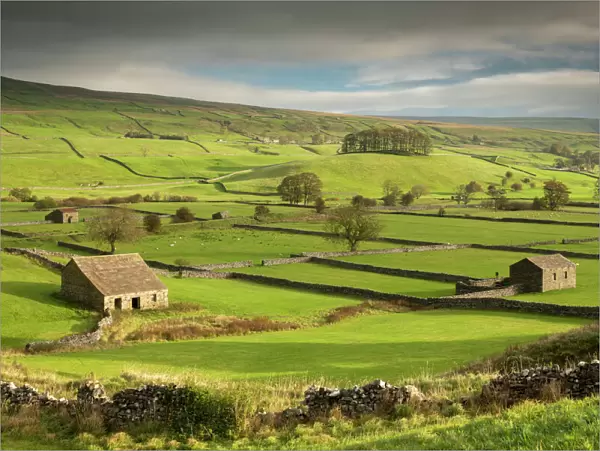 Stone barns and dry stone walls in the rolling countryside of Wensleydale near Hawes