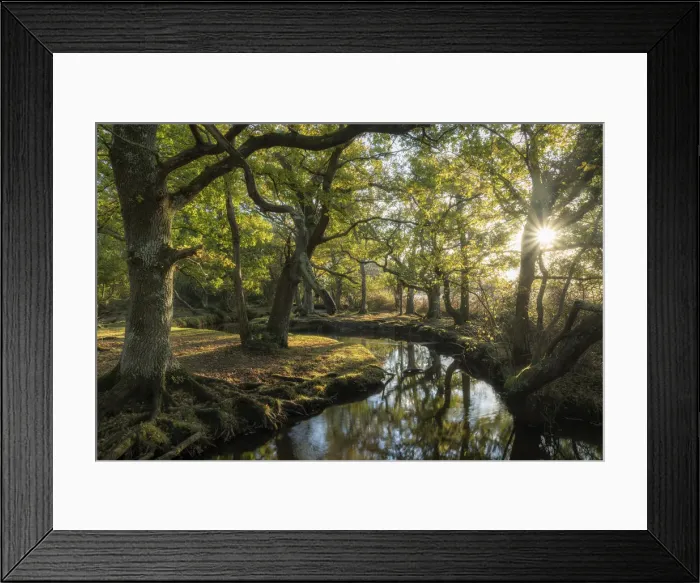 Framed Print : Early morning sunshine penetrates the deciduous woodland surrounding Ober Water near Framed Print : Early morning sunshine penetrates the deciduous woodland surrounding Ober Water near