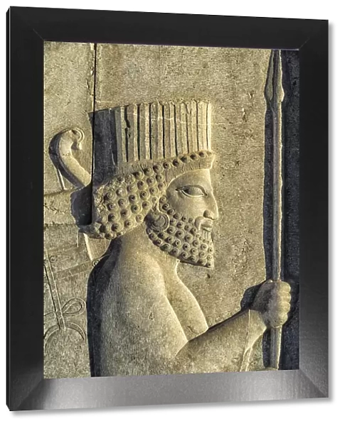 Apadana stairway facade detail, relief of the Achaemenids, Medes and Persians, Persepolis
