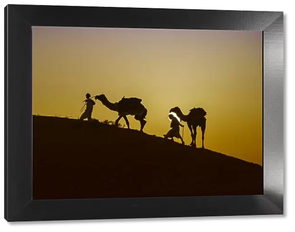 Two Rabari men climbing a dune with their dromedaries at sunset, Great Rann of Kutch